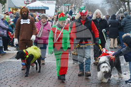 Reindog Parade