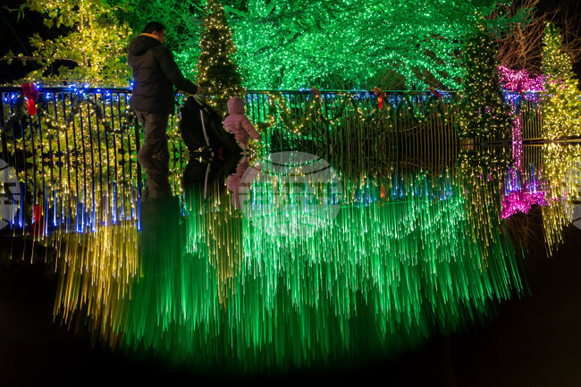 Maryland Holiday Lights