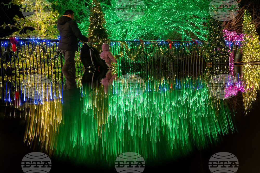 Maryland Holiday Lights