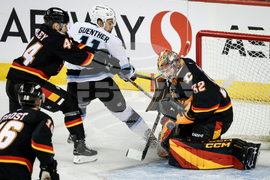 Mammoth Flames Hockey