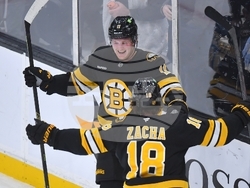 Devils Bruins Hockey