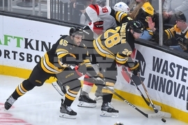 Devils Bruins Hockey