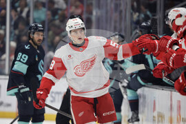 Red Wings Kraken Hockey