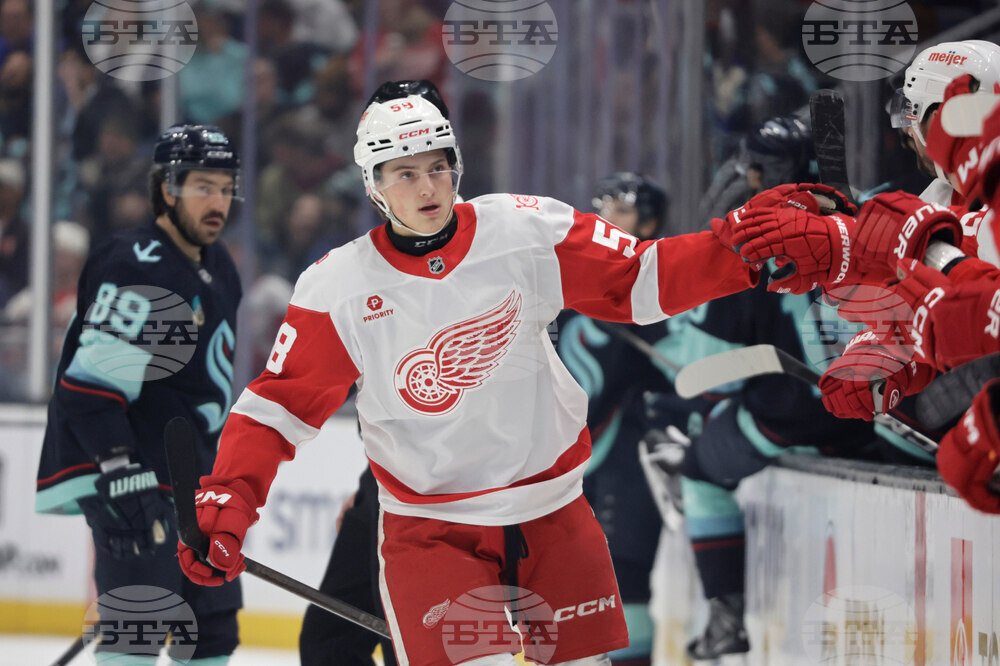 Red Wings Kraken Hockey