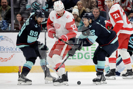 Red Wings Kraken Hockey