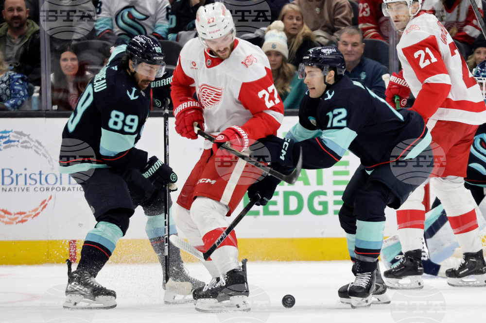 Red Wings Kraken Hockey