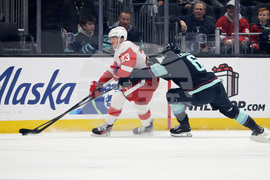 Red Wings Kraken Hockey