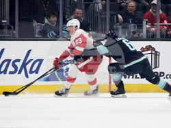 Red Wings Kraken Hockey