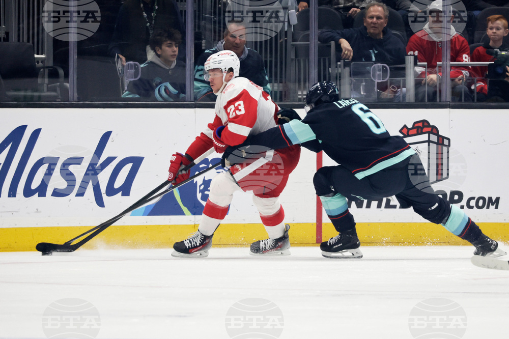 Red Wings Kraken Hockey