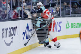 Red Wings Kraken Hockey