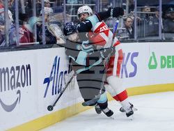 Red Wings Kraken Hockey