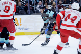 Red Wings Kraken Hockey