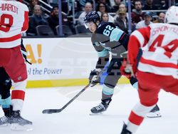 Red Wings Kraken Hockey