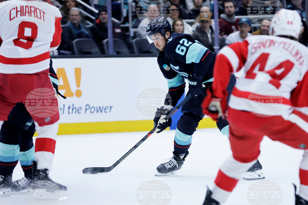 Red Wings Kraken Hockey