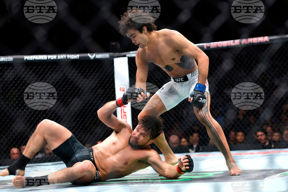 UFC 323 Mixed Martial Arts