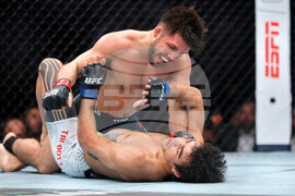 UFC 323 Mixed Martial Arts