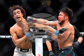 UFC 323 Mixed Martial Arts