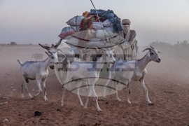 Mali Russia Africa Corps