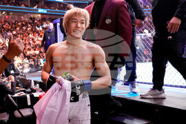 UFC 323 Mixed Martial Arts