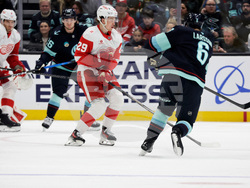 Red Wings Kraken Hockey