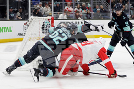 Red Wings Kraken Hockey