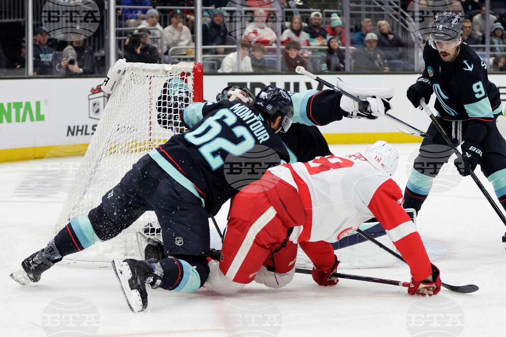 Red Wings Kraken Hockey