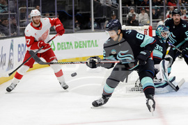 Red Wings Kraken Hockey