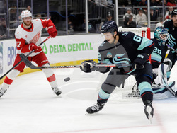 Red Wings Kraken Hockey