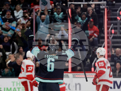 Red Wings Kraken Hockey