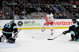 Red Wings Kraken Hockey