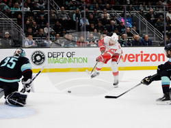 Red Wings Kraken Hockey