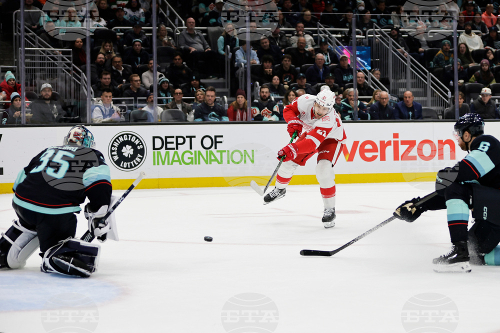 Red Wings Kraken Hockey