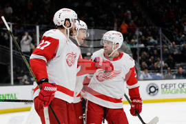 Red Wings Kraken Hockey