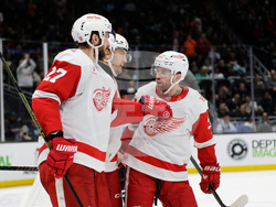 Red Wings Kraken Hockey