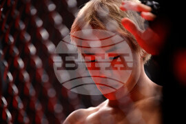 UFC 323 Mixed Martial Arts