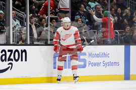 Red Wings Kraken Hockey