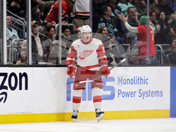 Red Wings Kraken Hockey