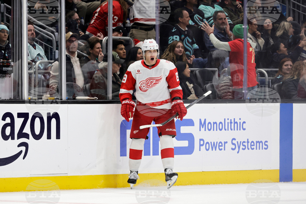 Red Wings Kraken Hockey