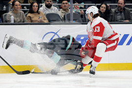 Red Wings Kraken Hockey