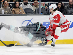 Red Wings Kraken Hockey