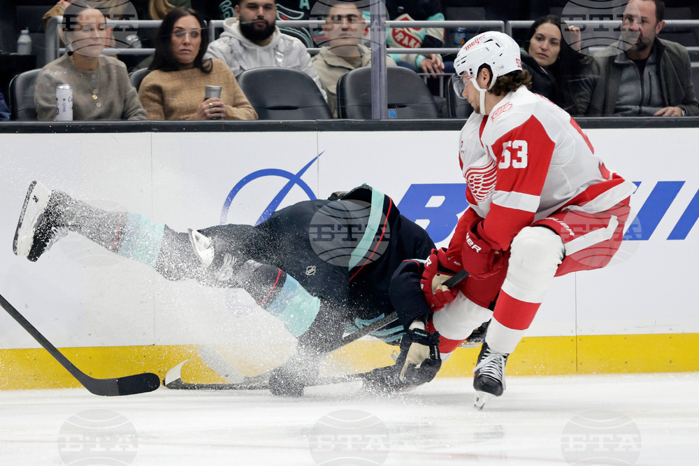 Red Wings Kraken Hockey