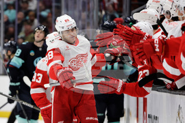 Red Wings Kraken Hockey