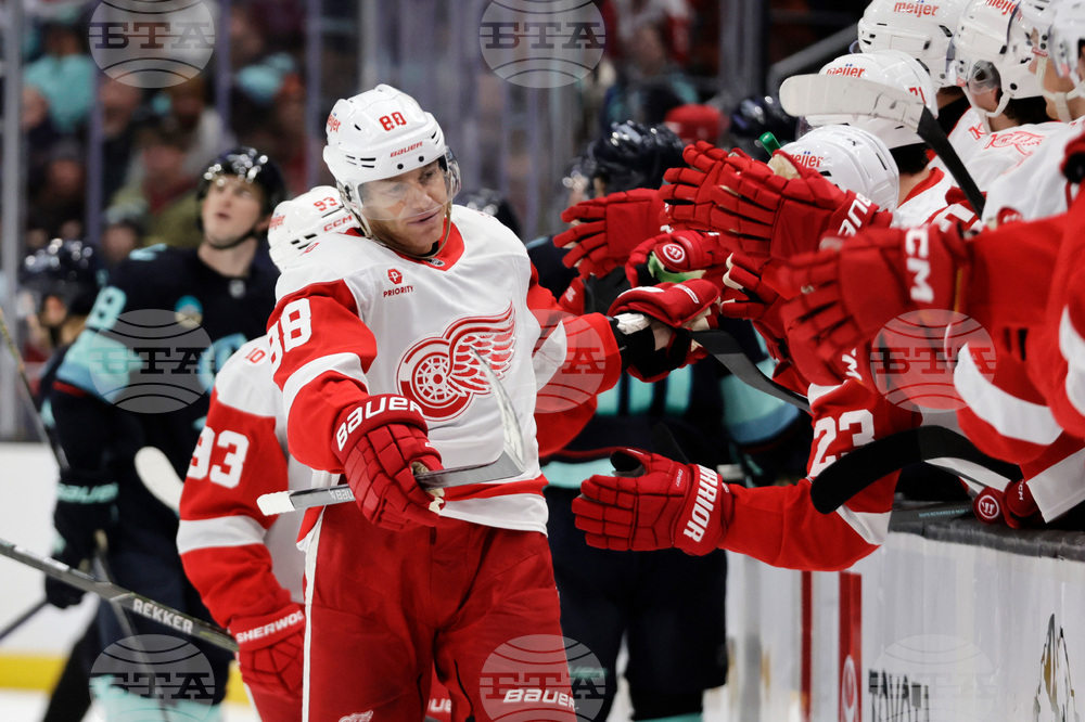 Red Wings Kraken Hockey