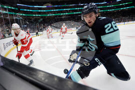 Red Wings Kraken Hockey