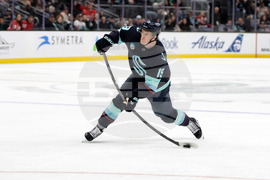 Red Wings Kraken Hockey