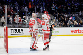 Red Wings Kraken Hockey