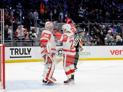 Red Wings Kraken Hockey