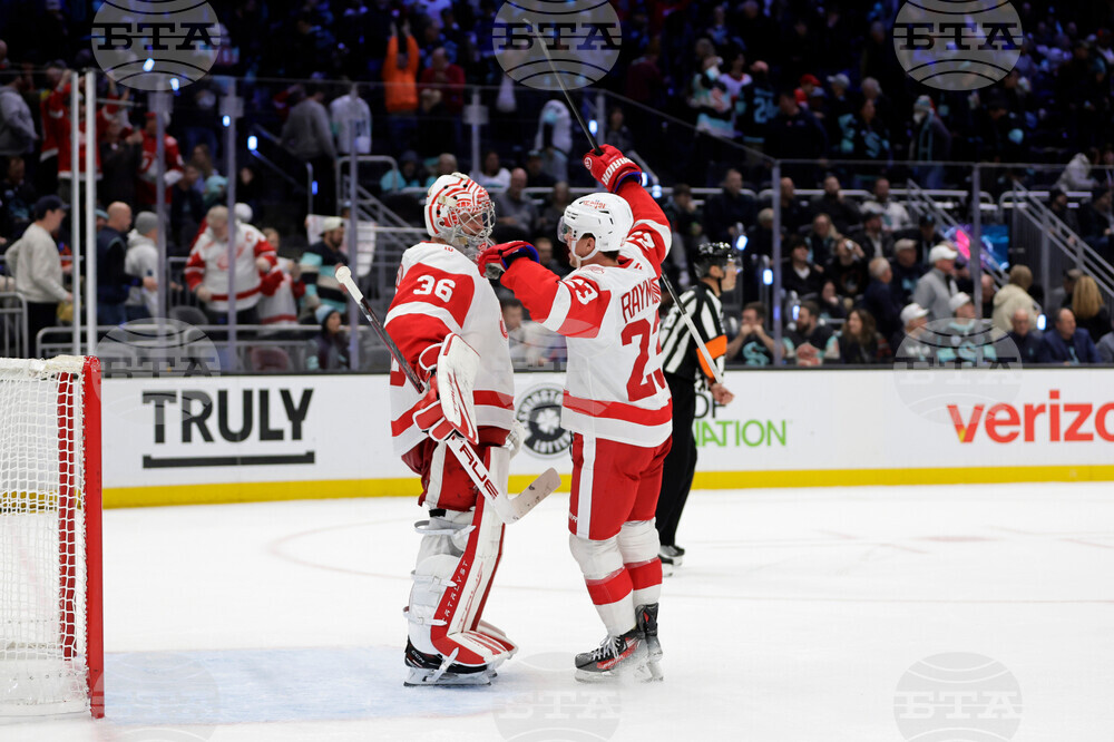 Red Wings Kraken Hockey