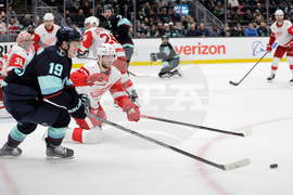 Red Wings Kraken Hockey