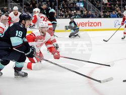 Red Wings Kraken Hockey